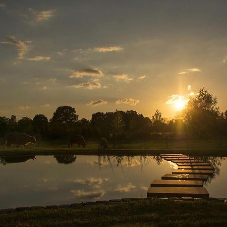 Bed En Boterham Hoeve Boord Ven Panzió Eersel Kültér fotó