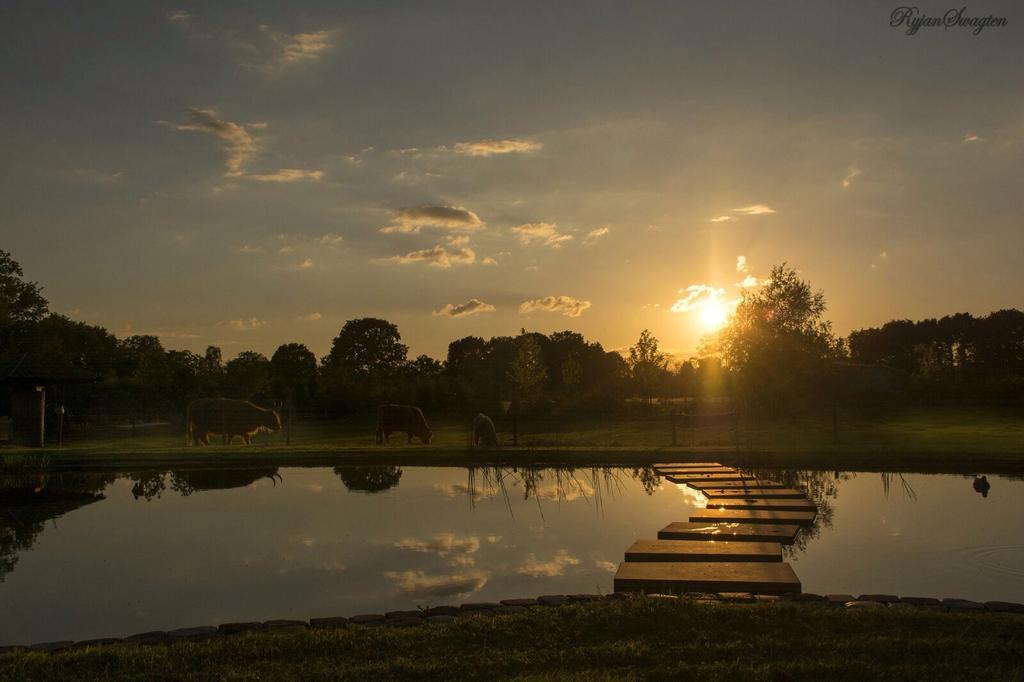 Bed En Boterham Hoeve Boord Ven Panzió Eersel Kültér fotó